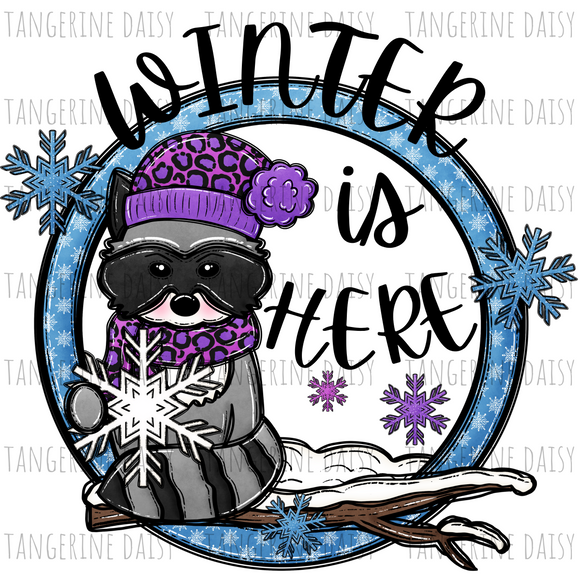 Winter is Here Racoon PNG,Winter Christmas Sublimation Designs Downloads,Digital Download,Sublimation Graphics,Printable Design
