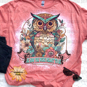 "Be Hoo You Were Meant to Be" Soft Style TShirt Vibrant and Over-sized Design Bleached & Sublimated